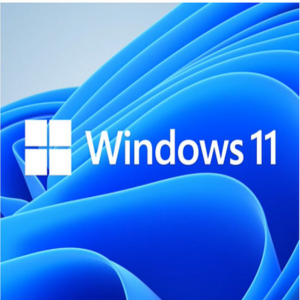 Windows 11